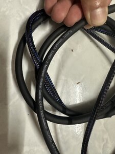 IMG_8664.jpeg