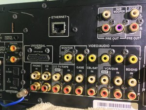 IMG_7953.jpeg