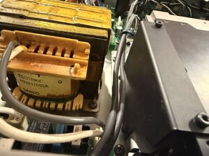 IMG_1350.jpeg