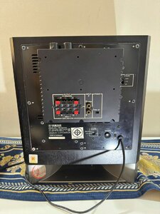IMG_0871.jpeg