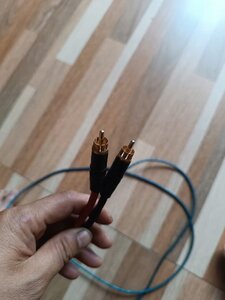 IMG_4711.jpeg