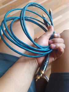 IMG_4708.jpeg