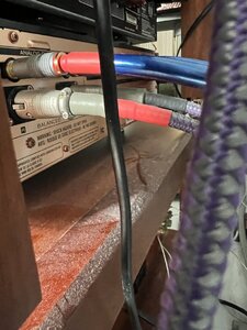 IMG_2594.jpeg