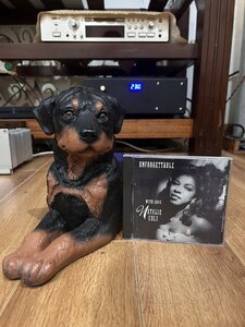 IMG_1163.jpeg