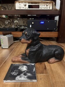 IMG_1162.jpeg
