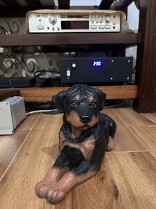 IMG_1161.jpeg