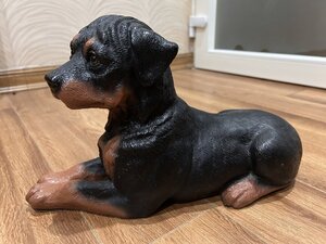 IMG_1164.jpeg