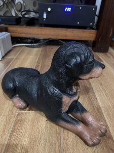 IMG_1165.jpeg