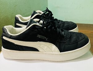 IMG_8067.jpeg