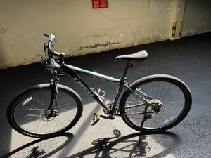 IMG_0938.jpeg