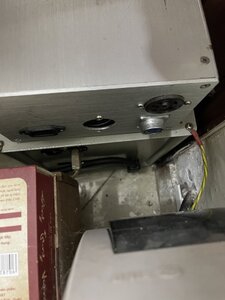 IMG_2838.jpeg