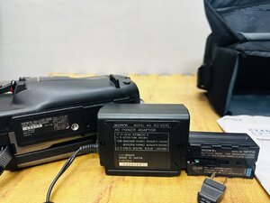 IMG_2555.jpeg