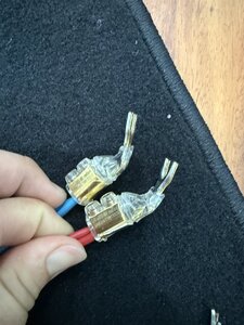 IMG_6575.jpeg