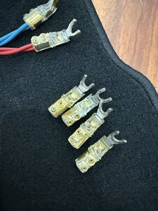 IMG_6573.jpeg