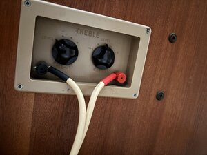 IMG_3125.jpeg