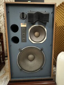 IMG_8911.jpeg