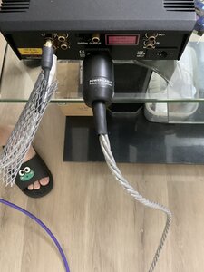 IMG_1291.jpeg