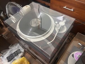 IMG_2313.jpeg