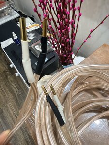 IMG_2373.jpeg