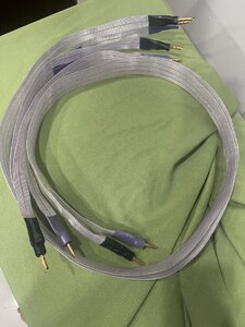 IMG_7938.jpeg