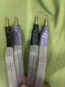 IMG_7940.jpeg