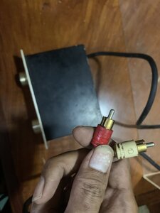 IMG_4301.jpeg