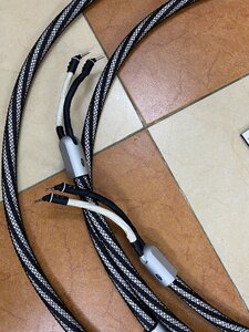 IMG_0495.jpeg