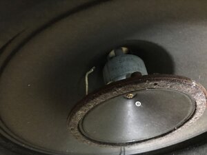 IMG_2638.jpeg