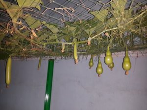 20140328_210349.jpg