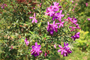 T_VIEN_TLAM 033_LL.jpg