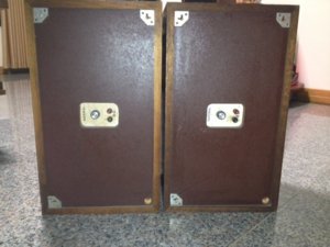 Dynaco A25 - mat sau.jpg