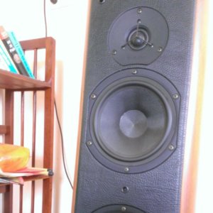 WP_20140613_008.jpg