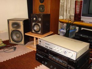 RFT Amp 1.JPG