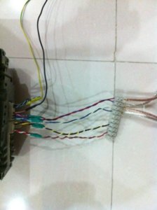 photo 2 (448 x 600).jpg