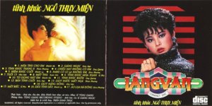 LangVan 001 - Front & In (800 x 399).jpg