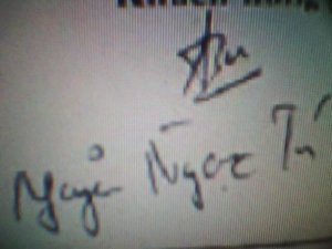 IMG0363A.jpg