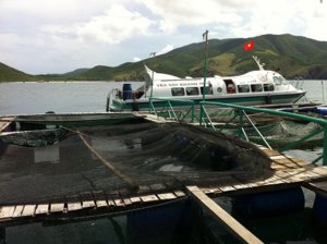 IMG_2209.JPG