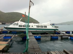IMG_2869.JPG