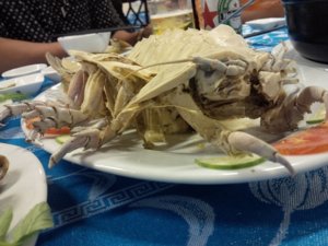 IMG_20140918_180110.jpg
