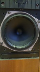 DSC_1031.JPG
