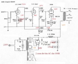 Dien ap 300B 2.jpg