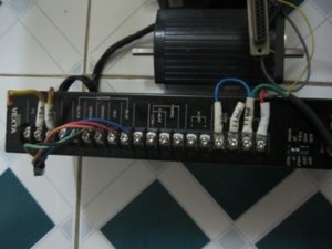 IMG_4462.JPG