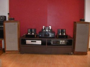 Bo dan tong the 1.jpg