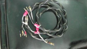 SAM_3535 (600 x 337).jpg