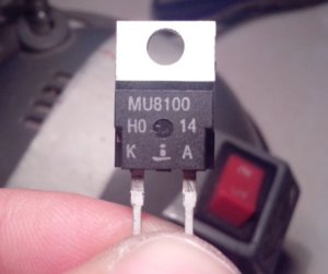 MUR8100.jpg