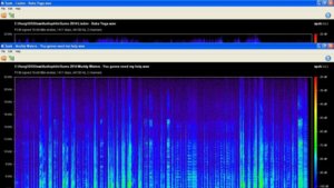 Sumo 2014 You gonna need my help (700 x 394).jpg