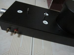 IMG_4542.JPG