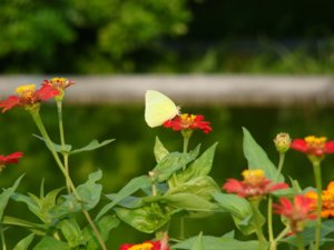 DSC00744.JPG