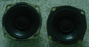 DSC06081.jpg