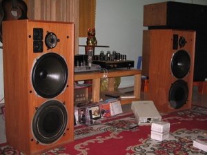 Celestion diton 25 2.jpg